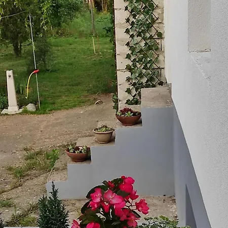 Szomolyai Vadvirag Vendeghaz * Szomolya
