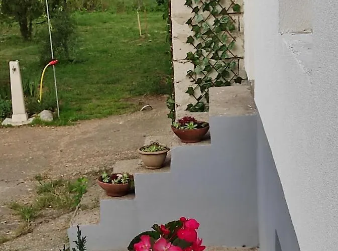 Szomolyai Vadvirag Vendeghaz * Szomolya