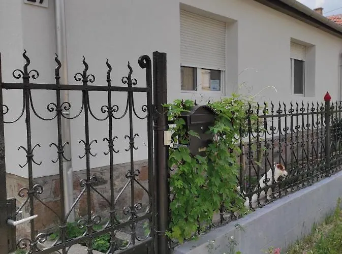Szomolyai Vadvirag Vendeghaz
